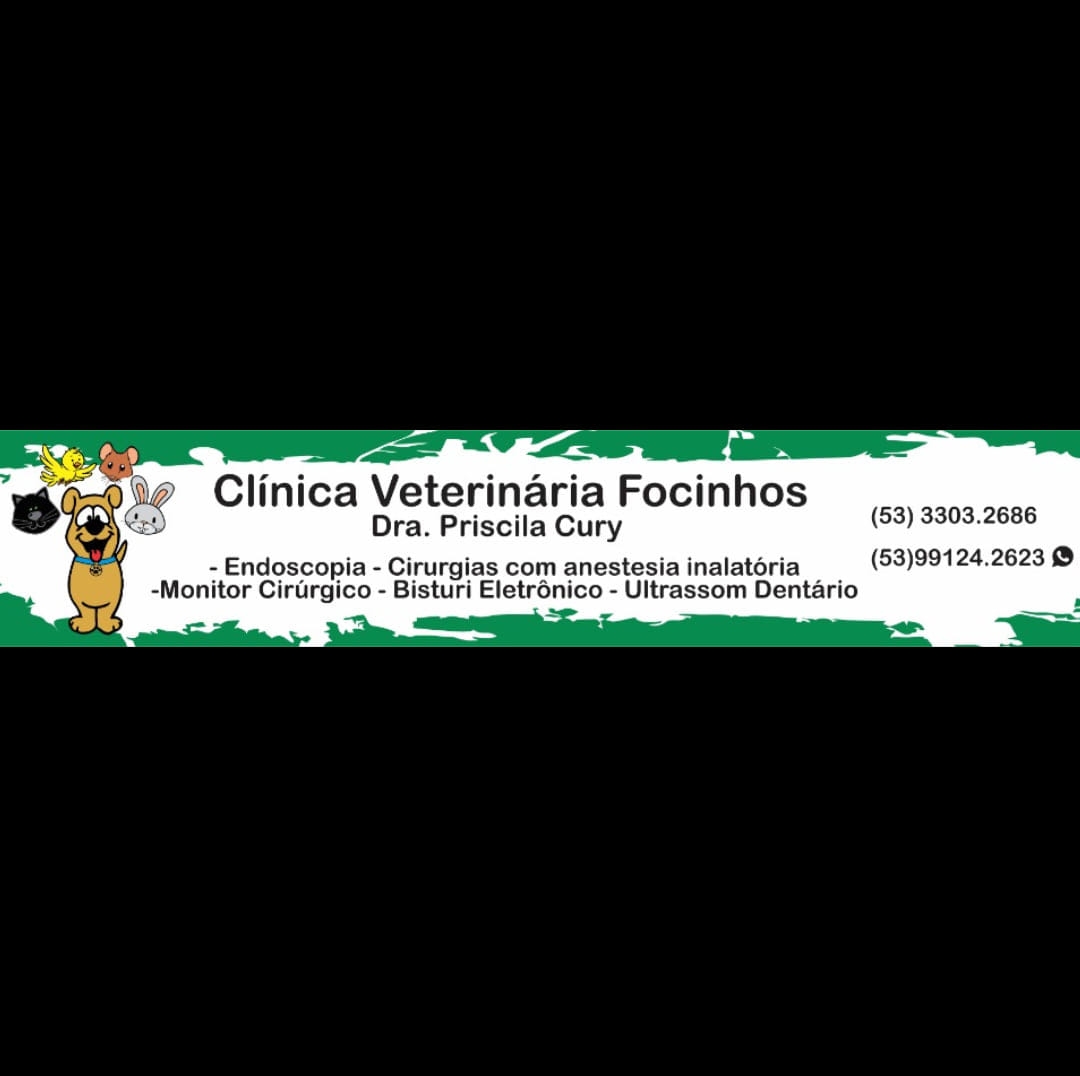 Clínica Veterinária Focinhos 